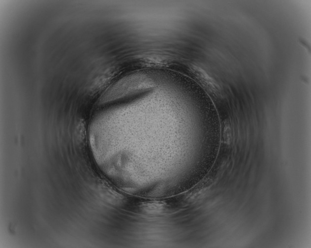 X0000091330318200708241206