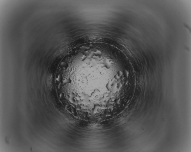 X0000091330319200708241206