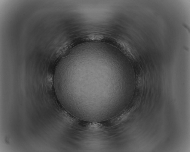 X0000091330321200708241206