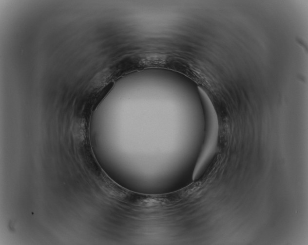 X0000091330323200708241206