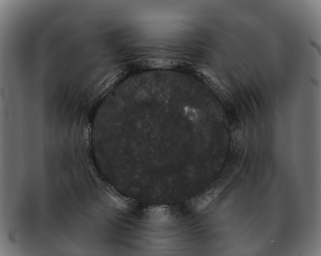 X0000091330325200708241206