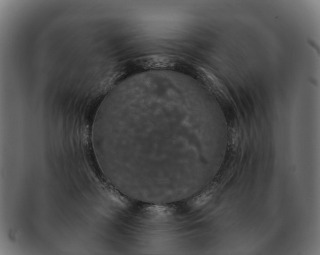 X0000091330326200708241206