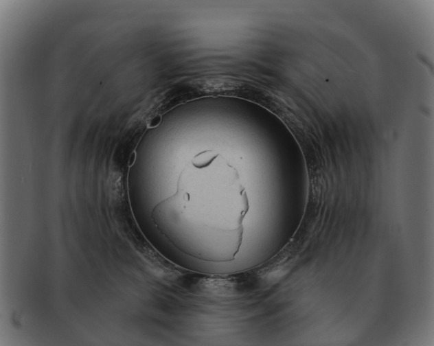 X0000091330327200708241206