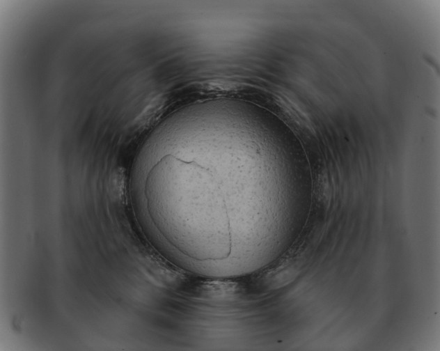 X0000091330328200708241206