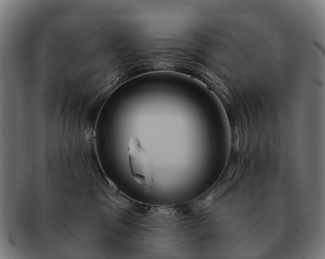 X0000091330329200708241206