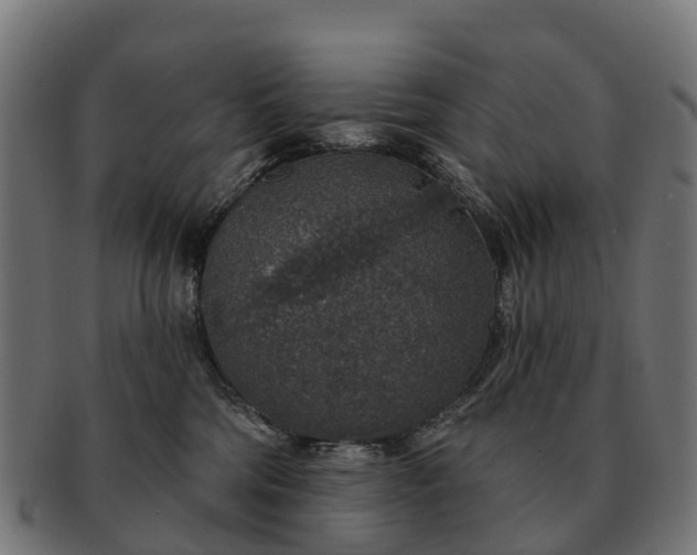 X0000091330330200708241206