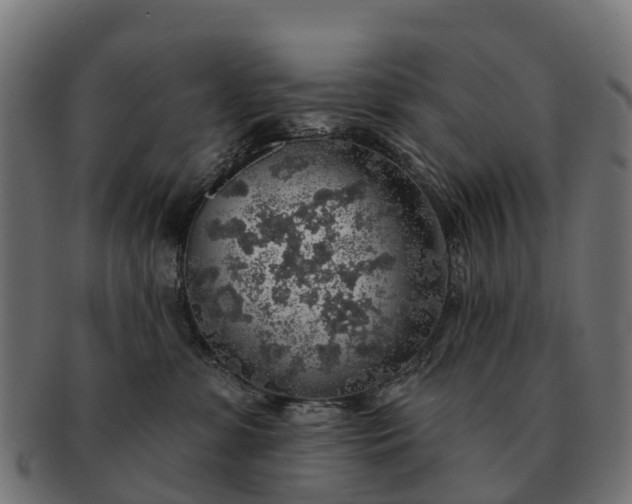 X0000091330331200708241206