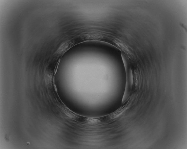 X0000091330333200708241206