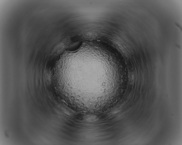 X0000091330334200708241206