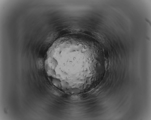 X0000091330335200708241206