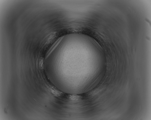 X0000091330336200708241206