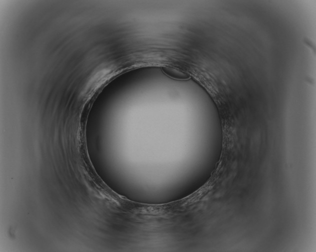 X0000091330338200708241206