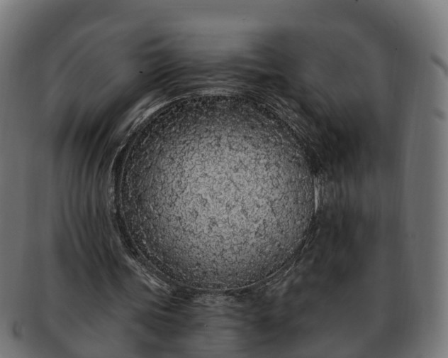 X0000091330339200708241206