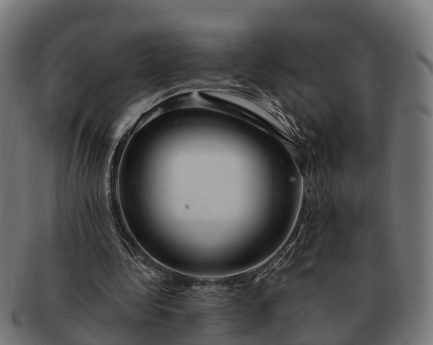 X0000091330340200708241206