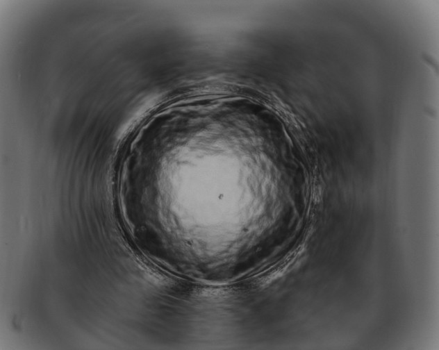 X0000091330341200708241206