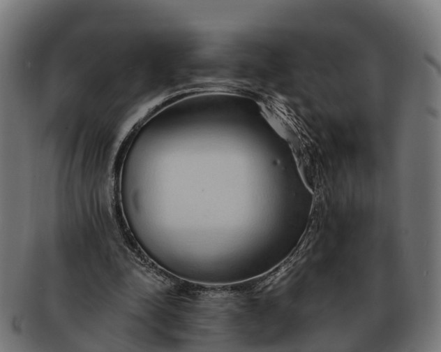 X0000091330342200708241206