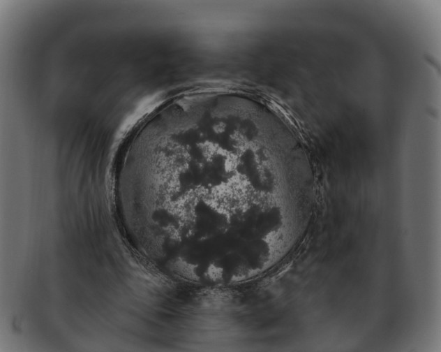 X0000091330343200708241206