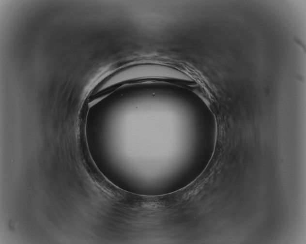 X0000091330344200708241206