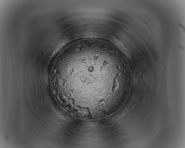 X0000091330347200708241206