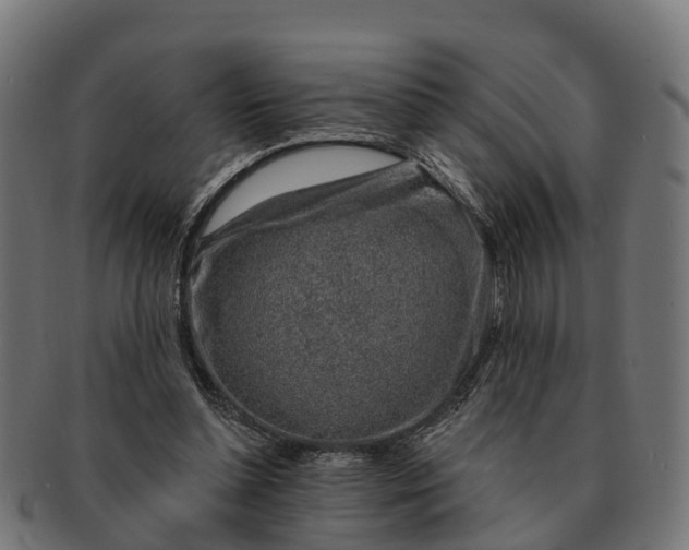 X0000091330348200708241206