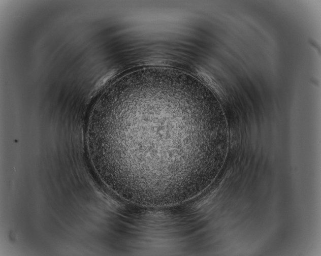 X0000091330349200708241206