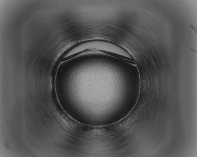 X0000091330350200708241206