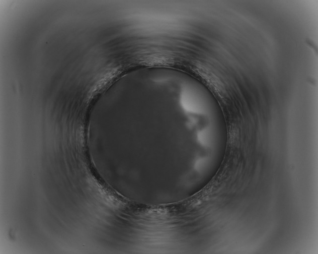 X0000091330353200708241206