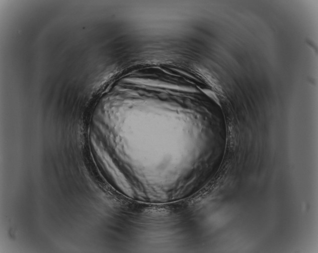 X0000091330354200708241206