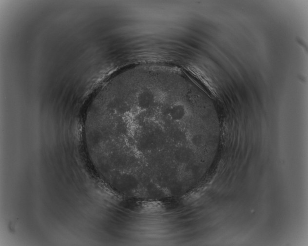 X0000091330355200708241206