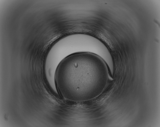 X0000091330356200708241206