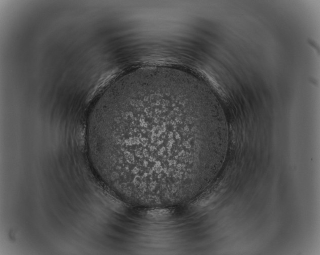 X0000091330357200708241206