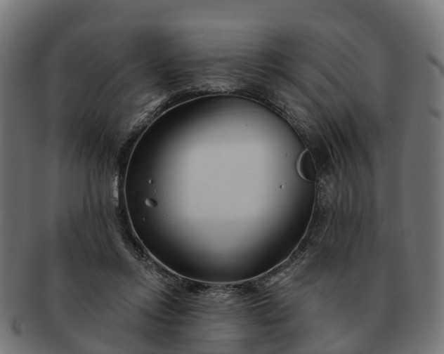 X0000091330358200708241206