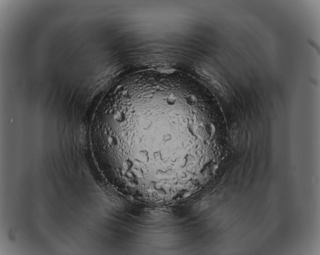 X0000091330359200708241206