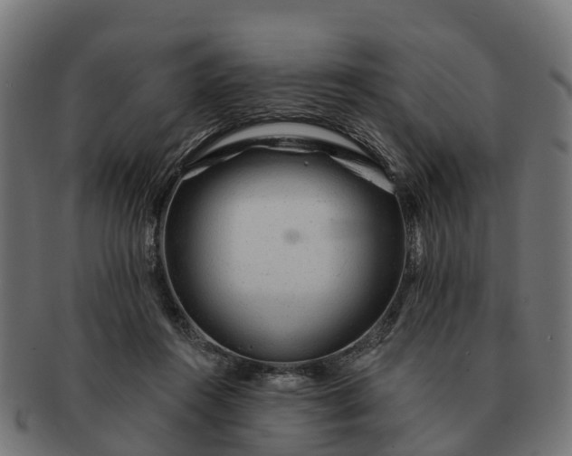 X0000091330360200708241206