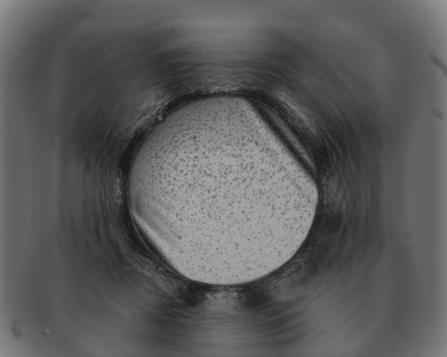 X0000091330362200708241206