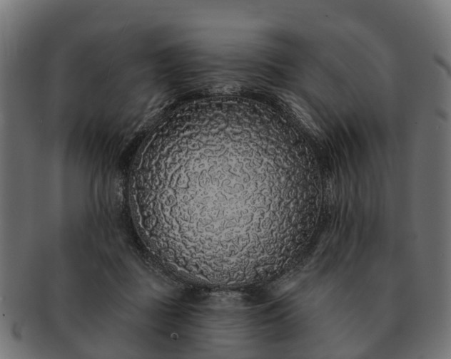 X0000091330363200708241206