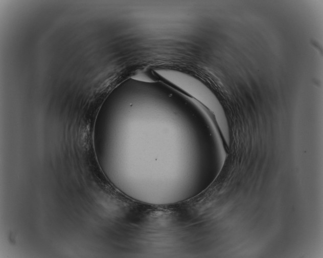 X0000091330364200708241206