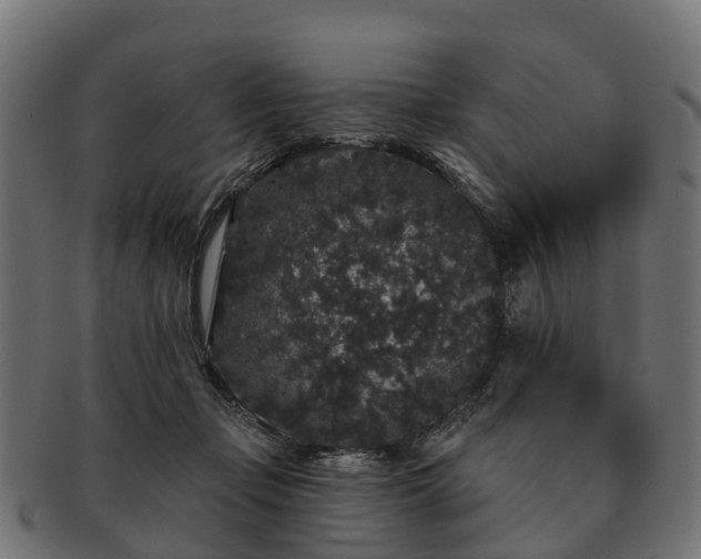 X0000091330365200708241206