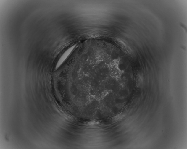 X0000091330366200708241206