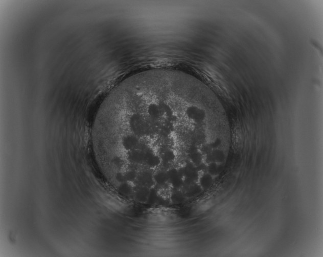 X0000091330367200708241206