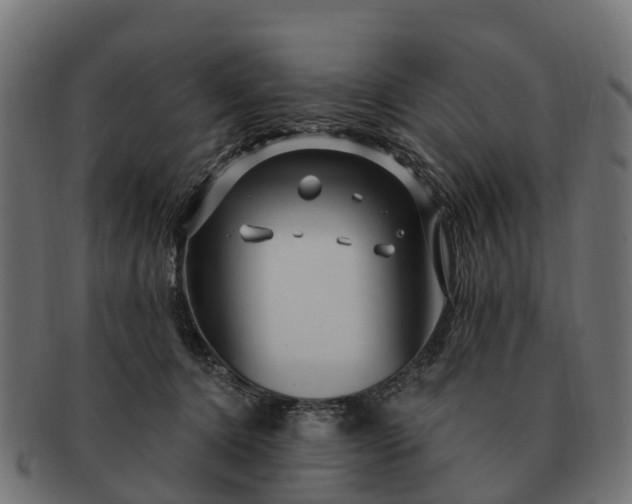 X0000091330368200708241206