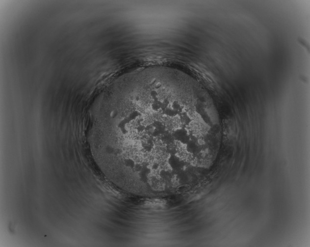 X0000091330369200708241206