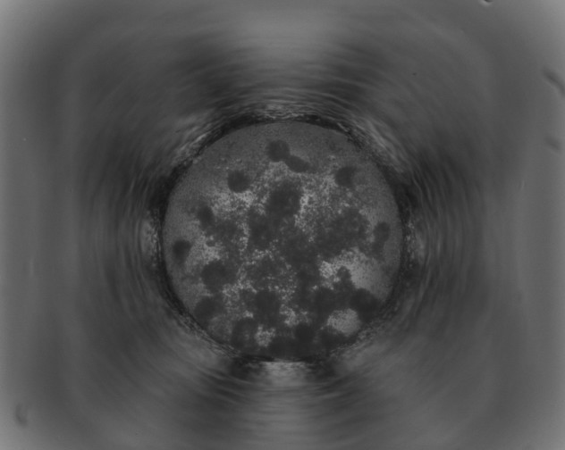 X0000091330371200708241206