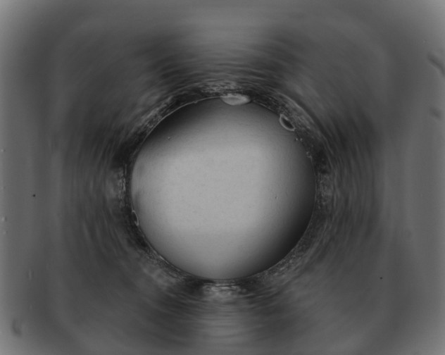 X0000091330372200708241206