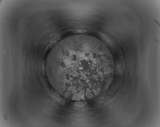 X0000091330373200708241206