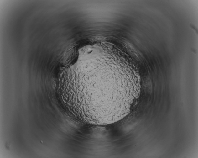 X0000091330374200708241206