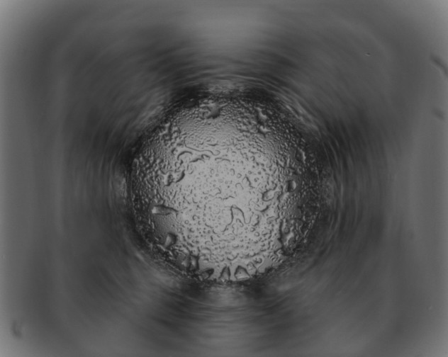 X0000091330375200708241206