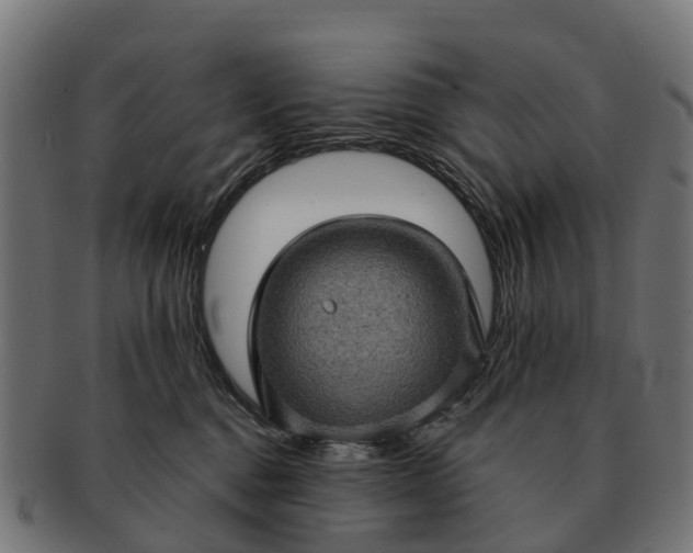 X0000091330376200708241206