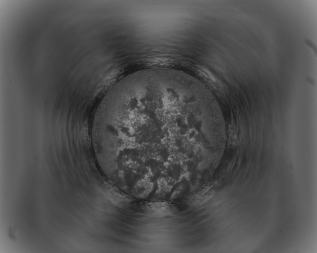 X0000091330377200708241206