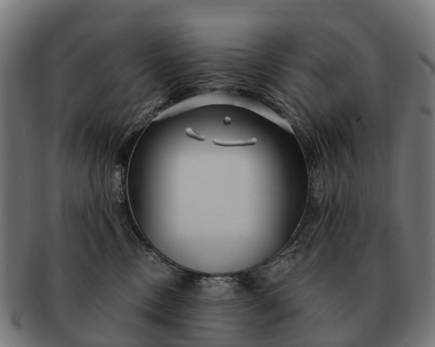 X0000091330378200708241206